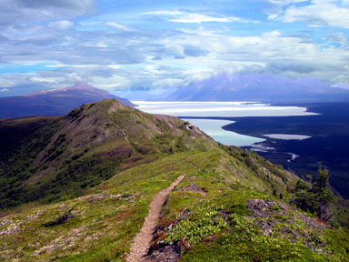 Looking back along the trail to Lake Naknek and Brooks Camp